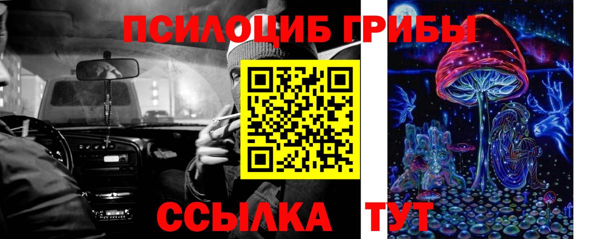 Галлюциногенные грибы прущие грибы  Вход с VPN  Янаул 